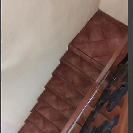Casa Del Parque Rotario Ξενοδοχείο Κανκούν Εξωτερικό φωτογραφία